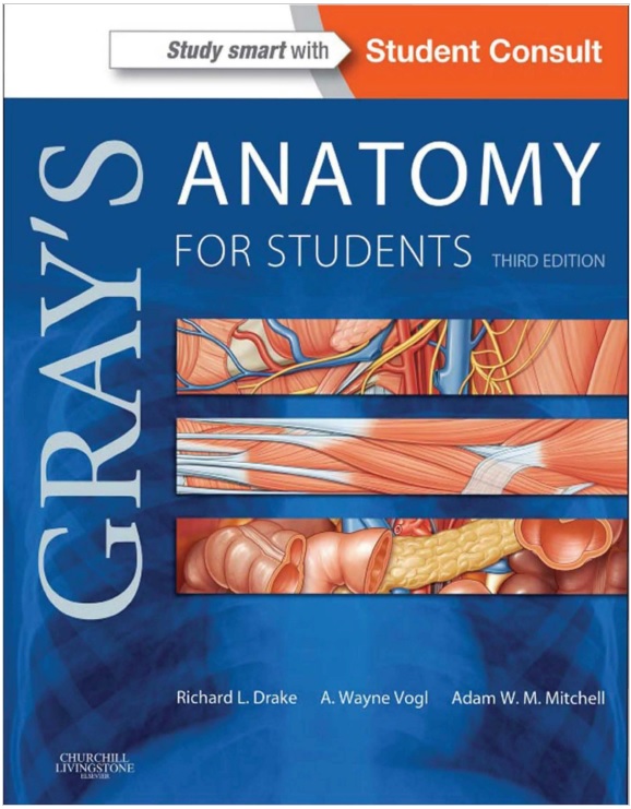 anatomia en pdf